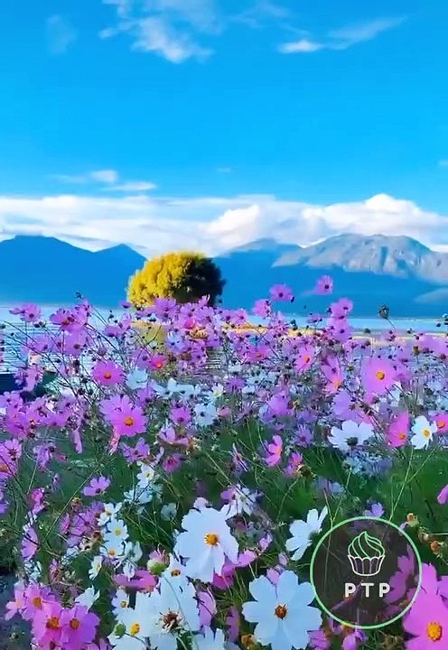 Enjoy the beauty of nature