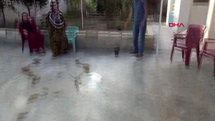 Şanlıurfa ceylanpınar'daki evlerine dönenler, havan mermileriyle karşılaştı