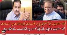 We have taken all steps to take care of Nawaz Sharif : Usman Buzdar