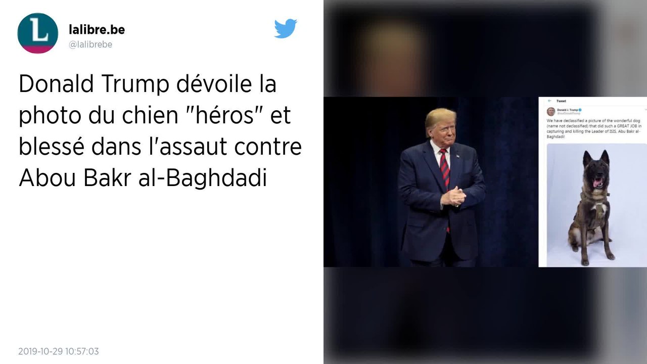 Mort d'Abou Bakar al-Baghdadi : quel est le rôle des chiens qui aident les militaires ?
