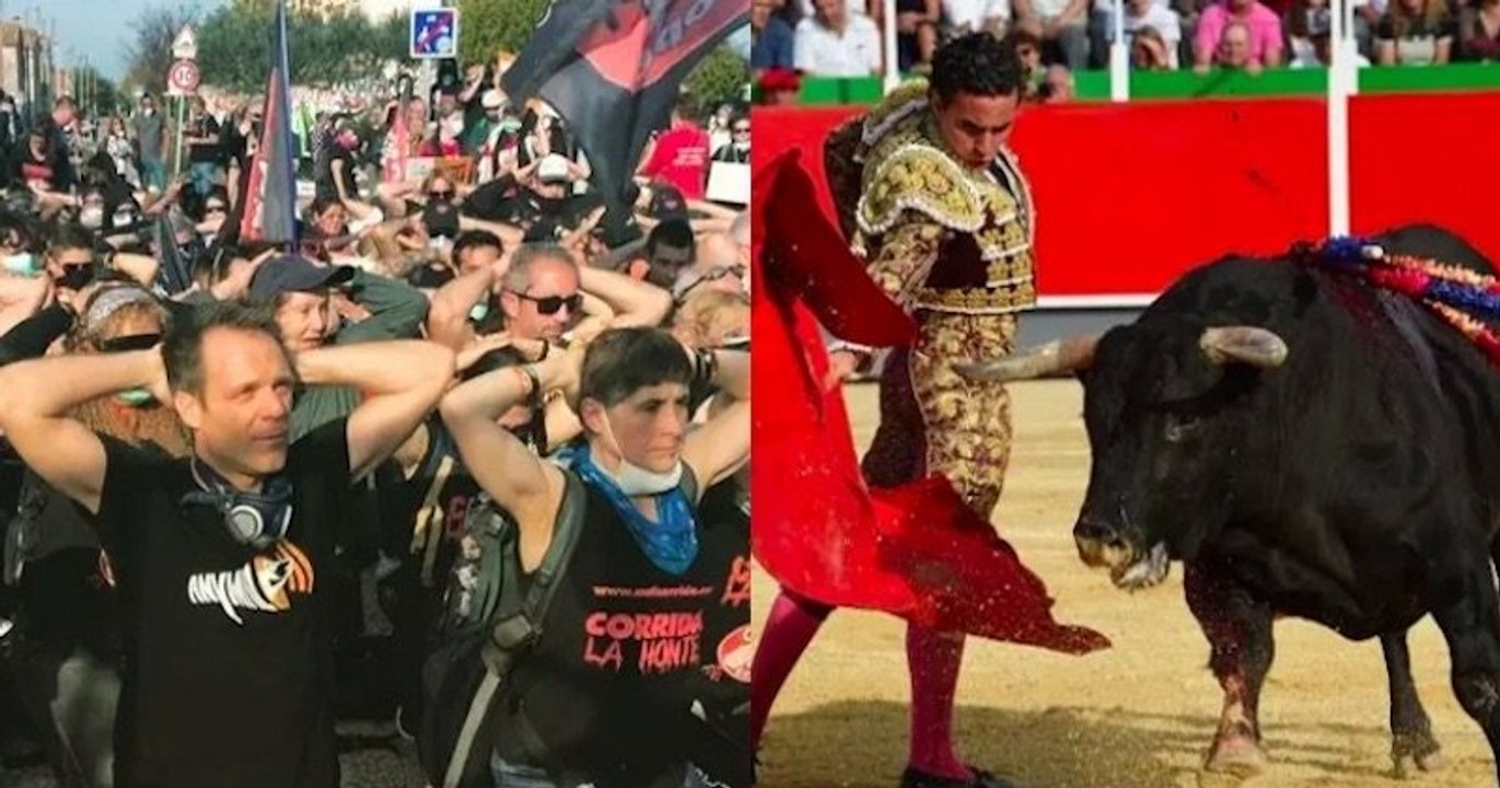 Rémi Gaillard et des militants anti-corrida ont manifesté contre la tauromachie à Rodilhan ce weekend