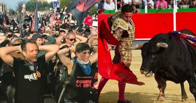 Rémi Gaillard et des militants anti-corrida ont manifesté contre la tauromachie à Rodilhan ce weekend