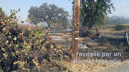 Californie: Habitations et vignobles détruits par le Kincade Fire