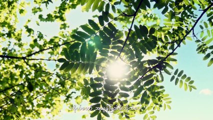 2019 Myanmar Praise Song (ဘုရားနှင့် အကျွမ်းဝင်ခြင်း) | Praise the Love of God