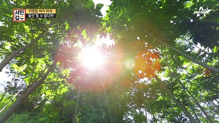 "올인할 수 없다면 자영업을 하지 마라" 창업 백과사전 갑부의 인생 조언★