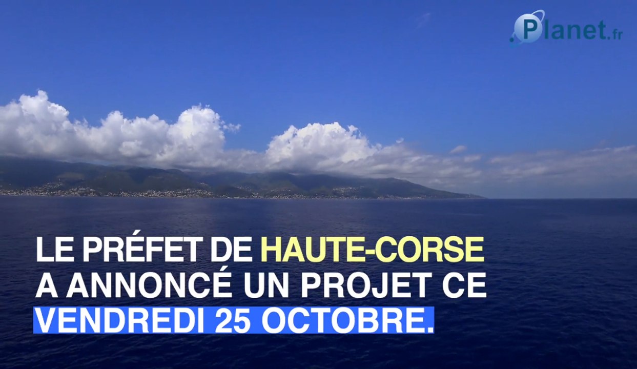 Haute-Corse : un plan d'attaque pour se débarrasser des voitures ventouses