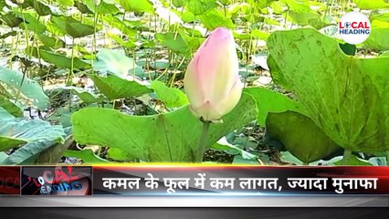 गन्ना खेती छोड़ फूल की खेती पर आजमा रहे हाथ