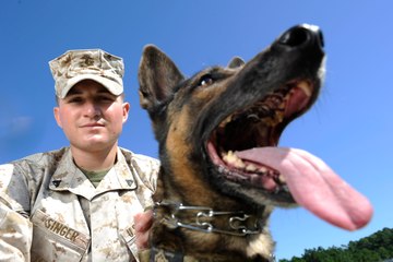 This is the hero dog in US army who attacked al baghdadi | Oneindia Malayalam