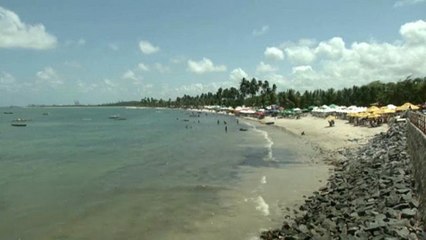 Brésil : les conséquences de la marée noire sur la biodiversité