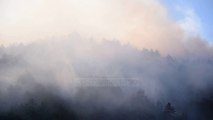 Zjarre në Korçë e Bulqizë- Po digjen pyjet me pisha!