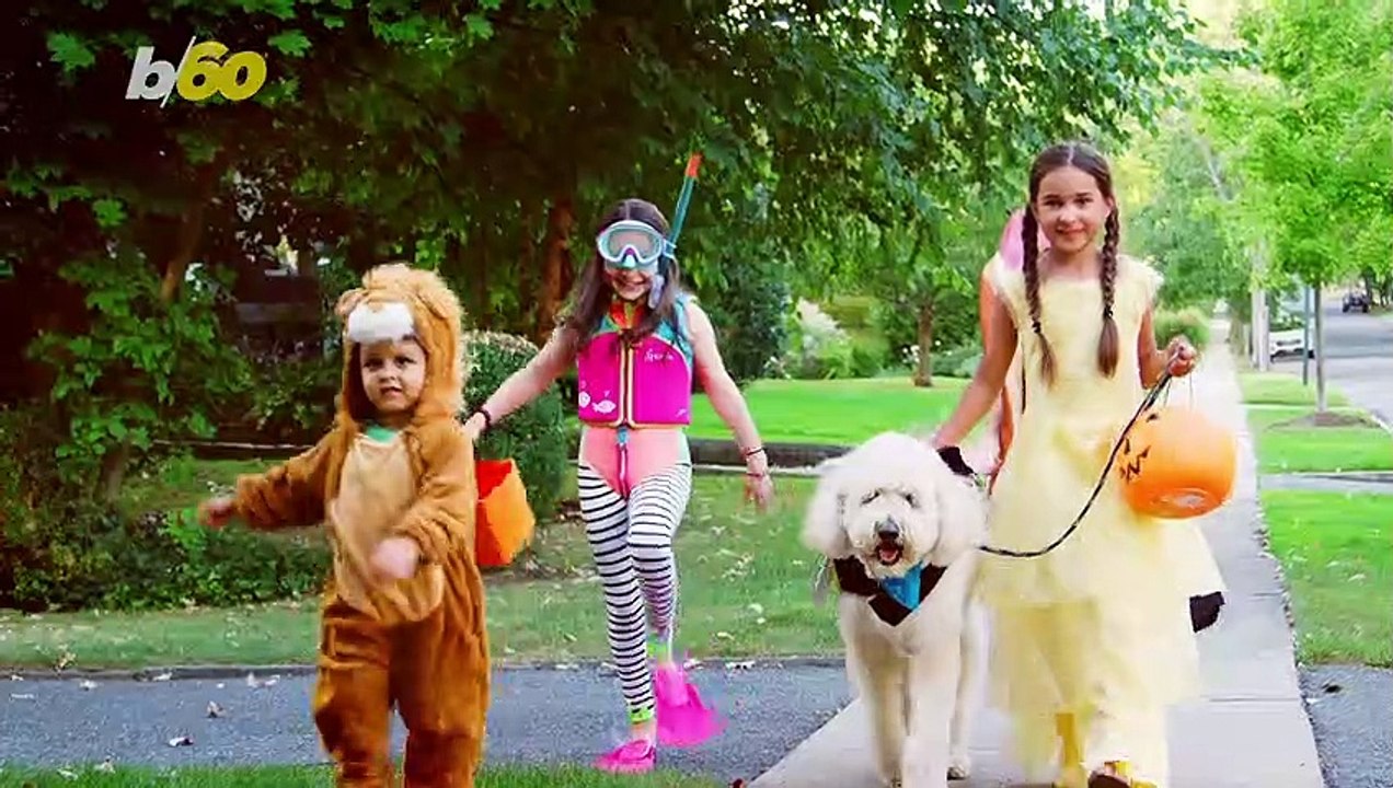 Two-Thirds of Parents Steal Halloween Candy from Their Babies