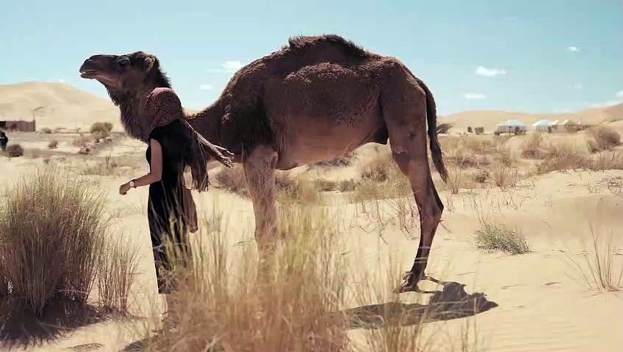 Taryn Elliott - Woman Camel and Desert - Human/Animal/Nature (No Copyright Video 10) [4K]
