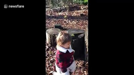 Determined little girl falls off tree stumps but keeps on going