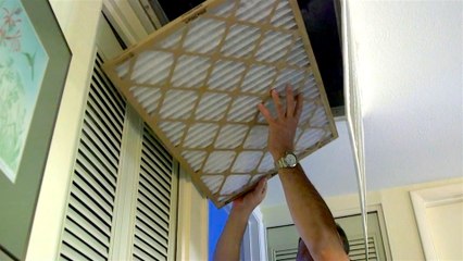 Meet Electric League of Arizona at the Arizona Fall Fest this Weekend