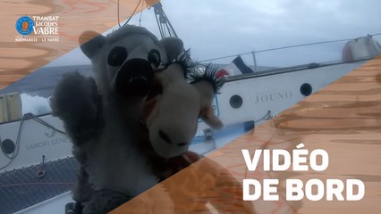 TRANSAT JACQUES VABRE INSIDE - Solidaires en Peloton ARSEP - 29/10/2019
