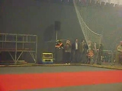 Salon du modelisme de Grande-Synthe - T-rex 500