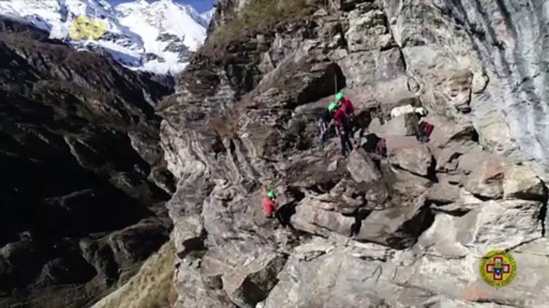 Six Goats Rescued From Alpine Mountains Via Ropes Harness