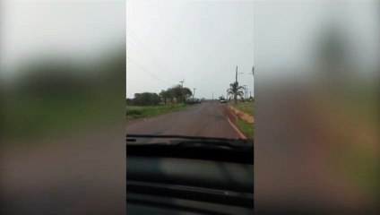 Descarte de lixo às margens da Avenida Piquiri gera reclamação