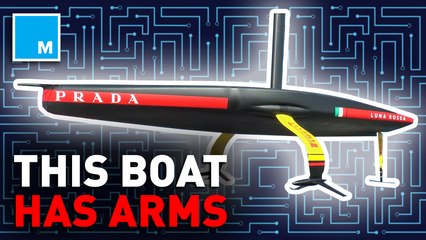 Oh hey, this boat has arms — Future Blink