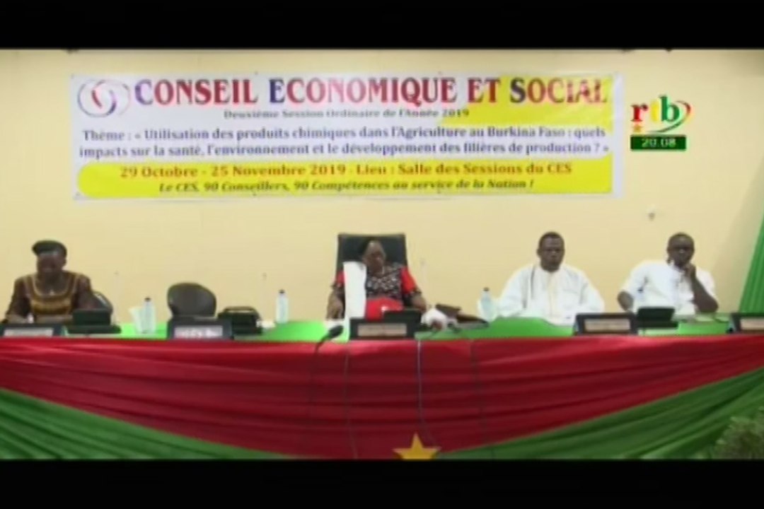 RTB/2e session ordinaire du Conseil Economique et Social