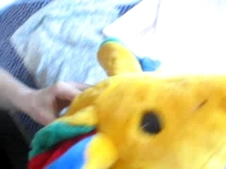 Un ptit Rigolo