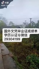 教留服学历认证Q/微29304199修改GPA成绩伯明翰大学文凭UoB毕业证成绩单offer英国大学学历,雅思托福成绩单,在读证明/留信网认证/使馆认证公正University of Birmingham