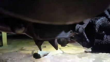 Homem é detido em ação da Polícia Militar