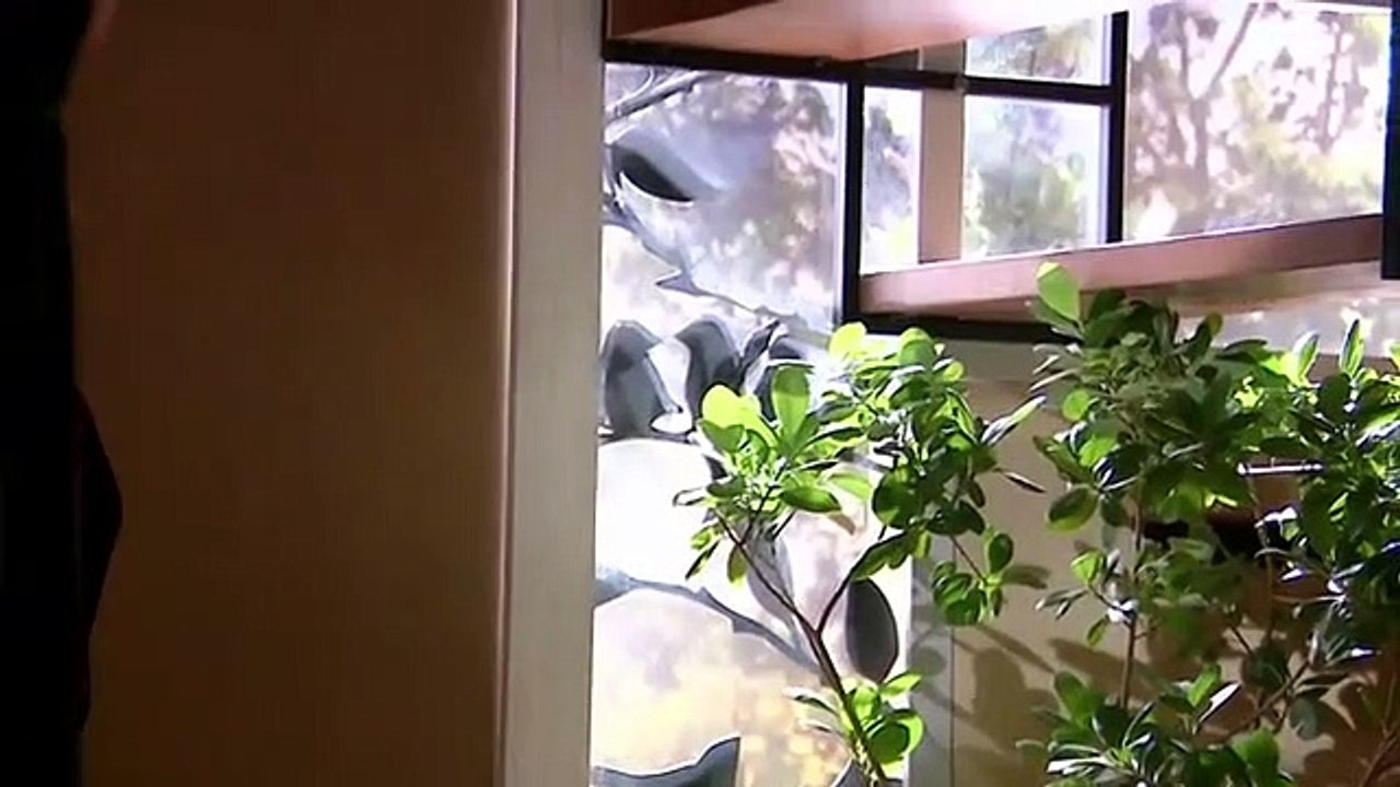 Juegos de Poder  Capitulo 139 Juegos de Poder  Capitulo 139 Juegos de Poder  Capitulo 139 Juegos de Poder  Capitulo 139