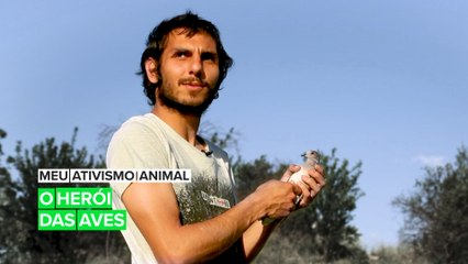 Meu ativismo animal: O herói das aves