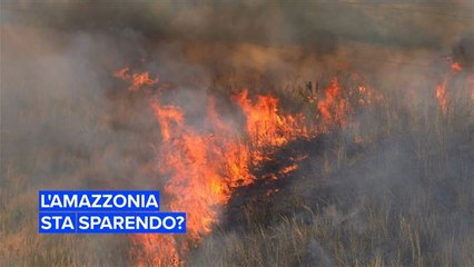 L'amazzonia sta scomparendo?