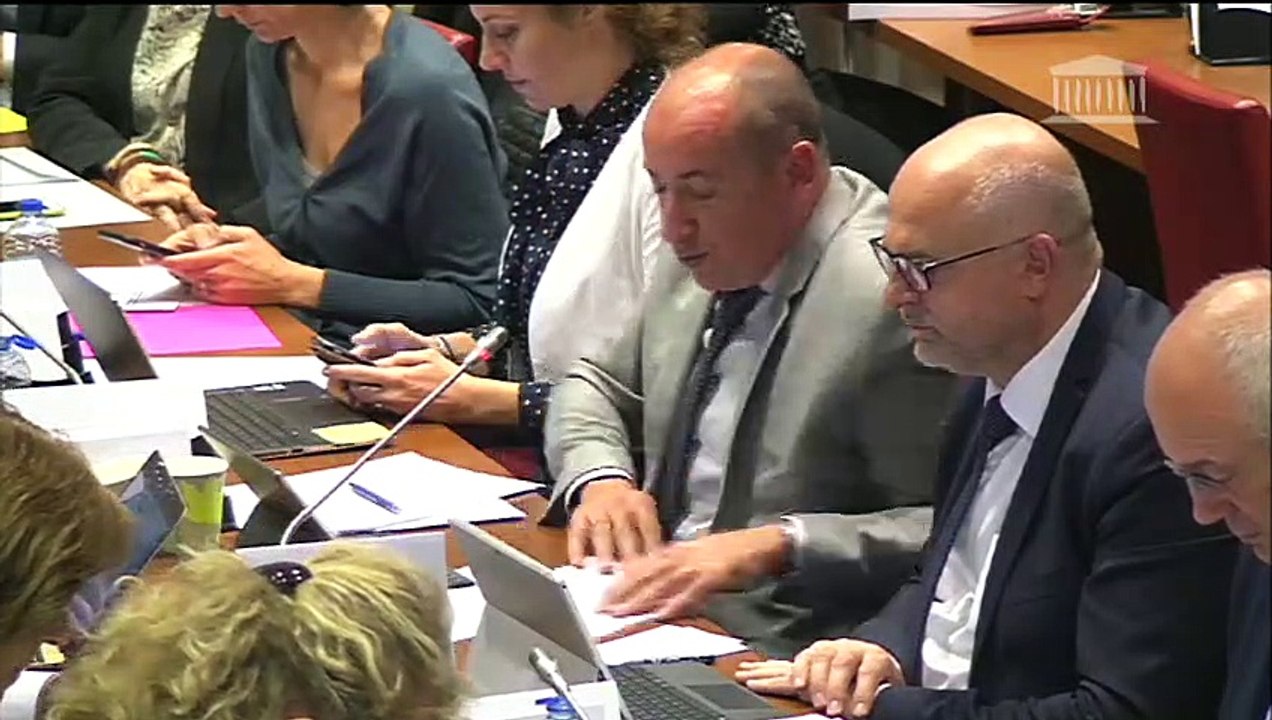 Commission des affaires sociales : Mme Muriel Pénicaud, ministre du travail, et crédits de la mission « Travail et emploi »  - Mardi 29 octobre 2019