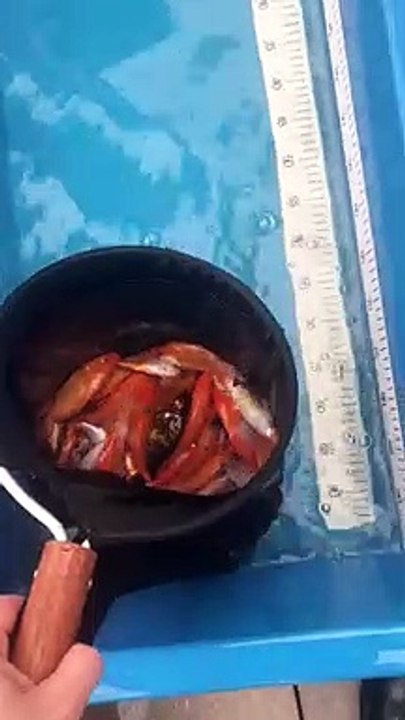 VID-20181221-WA0004