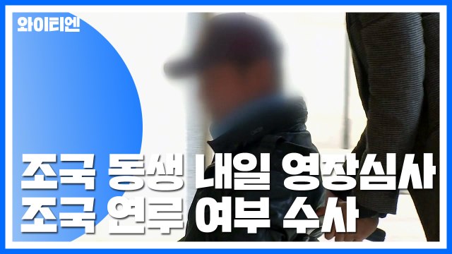 '웅동학원 의혹' 조국 동생, 내일 구속영장 심사... 출석해 적극 변론할 것 / YTN