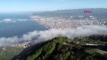 Ordu'da arapların fındık bahçesi alımı 100 dönüme ulaştı