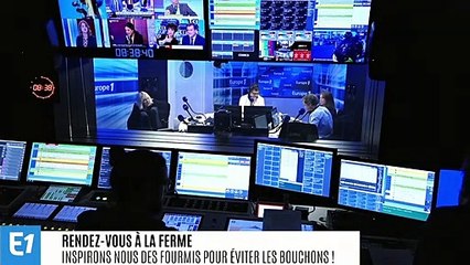 Les bouchons, une invention créée par l’Homme ?