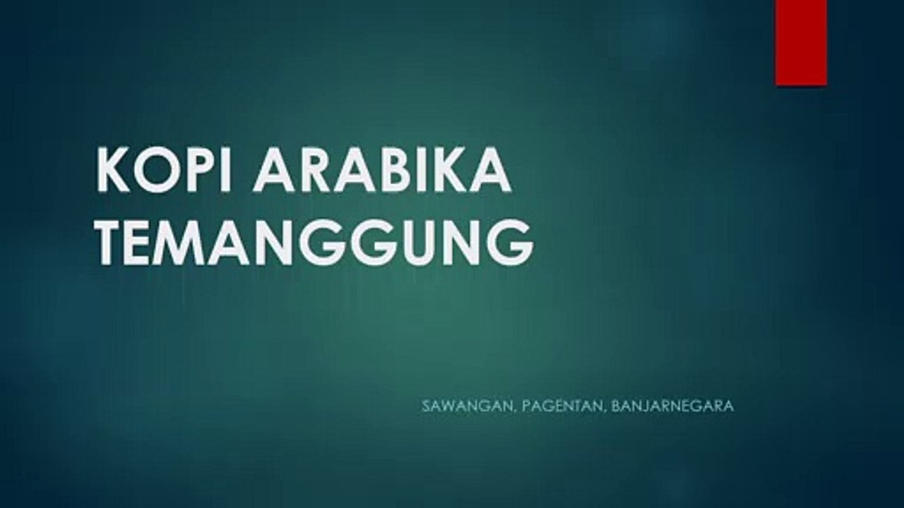 KOPI ARABIKA TEMANGGUNG