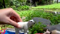 Learn wild animals truck falling into the water and Learn animals name and sound for kids