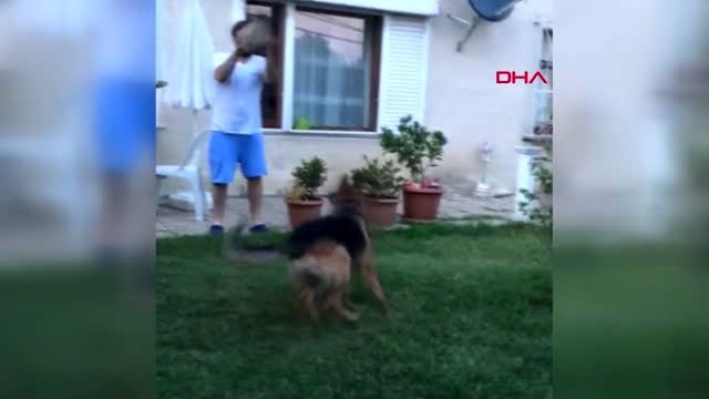 İstanbul-beşiktaş'ta vahşet evin bahçesindeki köpek kurşunlanarak öldürüldü