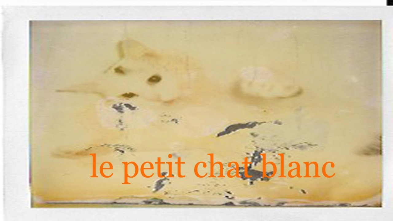 Claude Fonfrede Dominique Becker Le Petit Chat Blanc Video Dailymotion