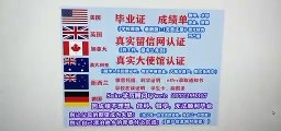 办理美国(圣托马斯大学毕业证)可作认证用《Q /微207 2299 317》专业办理圣托马斯大学学历学位认证 高仿毕业证/圣托马斯大学修改成绩单GPA分数/圣托马斯大学文凭学历真实认证/真实大使馆/真实留信网认证St. Thomas University diploma