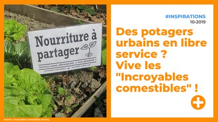 Des potagers urbains en libre service ? Vive les "Incroyables comestibles" !