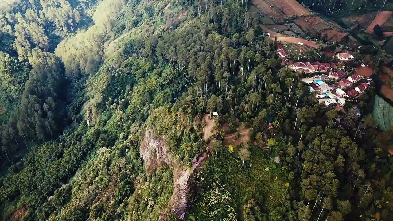 Overview