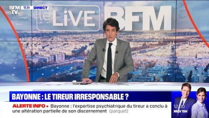Bayonne : le tireur irresponsable ? (2) - 30/10