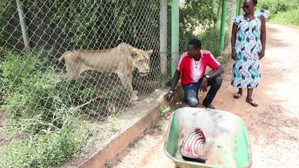 Burkina: cinq ans après l'insurrection, la nostalgie Compaoré