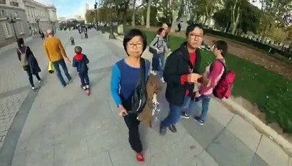Dos turistas en Madrid graban como les roban