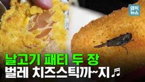 [엠빅뉴스] 맥도날드 햄버거 패티는 날고기가 기본? 치즈스틱에 벌레도 태워?..언더쿡 논란