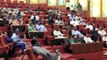 Why Senate suspended plenary to continue budget defence