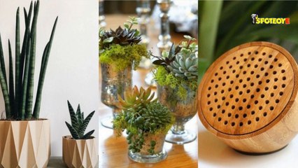 5 Eco Friendly Gifts To Make This Diwali Special