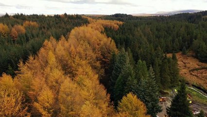 Beautiful drone footage of autumnal scenes in Northern Ireland