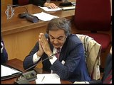 Roma - Audizioni su aumento dazi doganali (30.10.19)